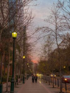 A serene evening walk along a tree-lined street in Santiago, Chile at sunset.