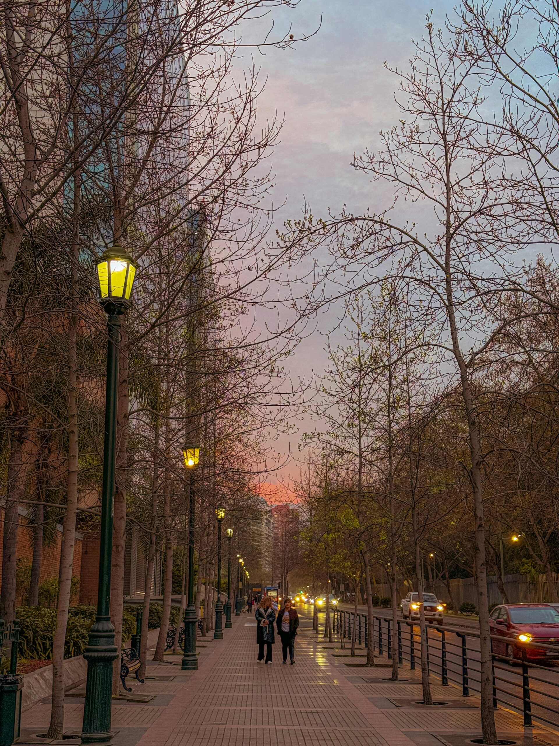 A serene evening walk along a tree-lined street in Santiago, Chile at sunset.